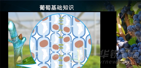 VR課件編輯器,虛擬仿真培訓系統(tǒng)